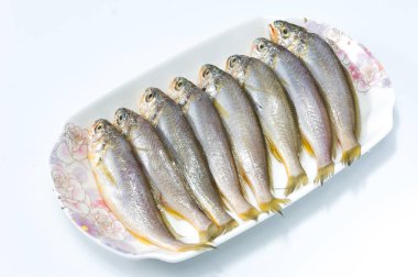 Tabakta sarı timsah balığı