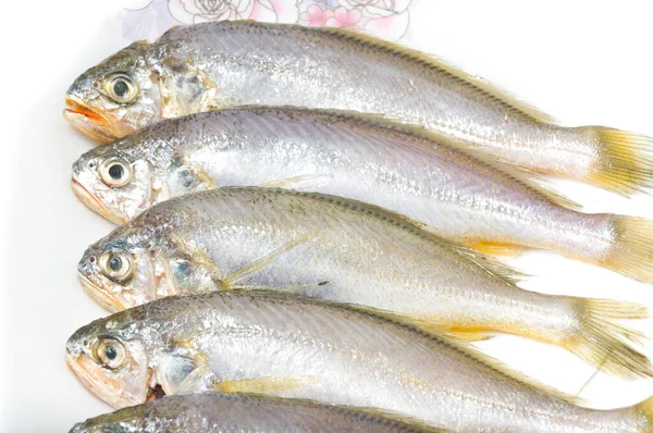 Желтая Квакерская Рыба Тарелке Лицензионные Стоковые Фото