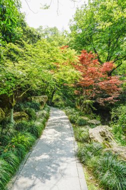 Çin Klasik Bahçeleri 'nin mimari manzarası