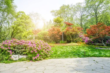 Park çiçekleri yeşil