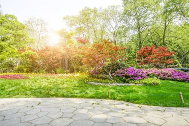 Park çiçekleri yeşil