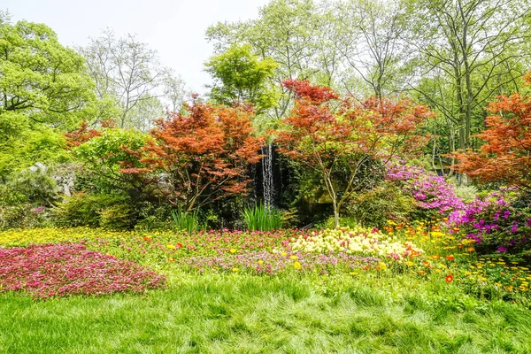 Park Flower Beds Green — Stock Photo, Image