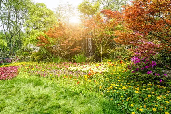 Park Flower Beds Green — Stock Photo, Image