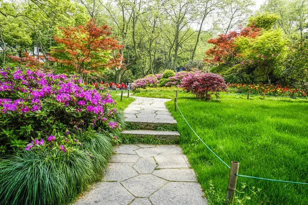 Park Flower Beds Green — Stock Photo, Image