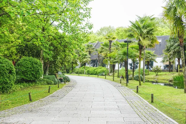 Green Trees Park — Stock Photo, Image