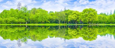 Güzel açık hava ormanları ve çimenler.