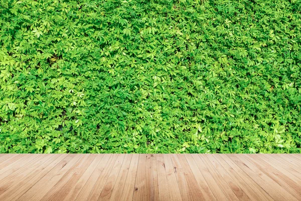 Green plant wall background