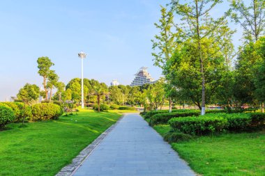 Çin 'de park ormanı