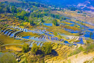 Yunnan Yuanyang terraces background clipart