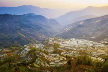 Yunnan Yuanyang terasları