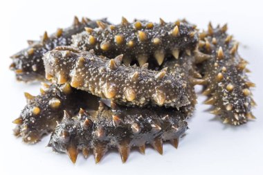 Yakından deniz hıyarı.