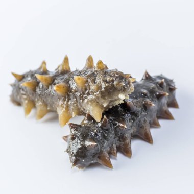 Yakından deniz hıyarı.