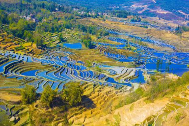 Yunnan Yuanyang terasları