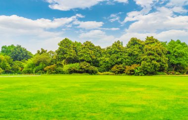 Parklar, çayırlar, Çin ormanları.