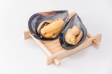 Haihong beyaz arka planda