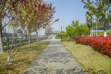 Çin 'deki Suzhou bahçeleri.