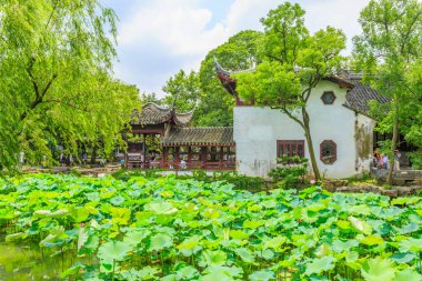 Çin 'deki Suzhou bahçeleri.