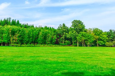 Çin 'de Greenwood, Asya