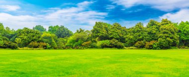 Parklar, çayırlar, Çin ormanları.