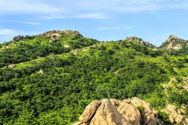 Çin 'deki dağ ormanı, Asya