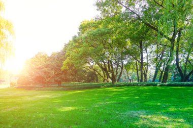 Çin 'deki yeşil park, Asya