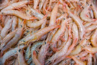 karides tam çerçeve arkaplanı