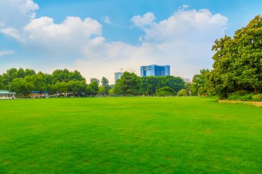 Parklar, çayırlar, Çin ormanları.