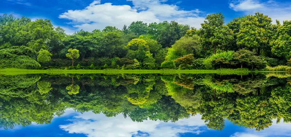 Green Woods Park — Stock Photo, Image