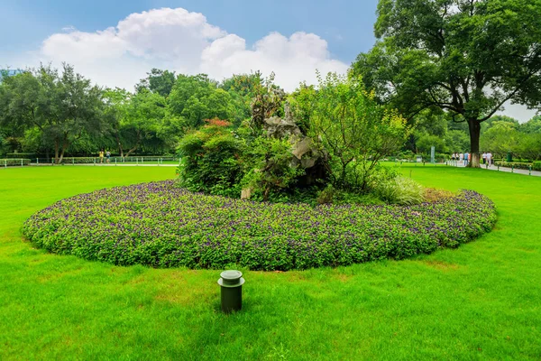 Parks Meadows Woods China — Stock Photo, Image