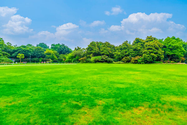 Parks, meadows, woods in China