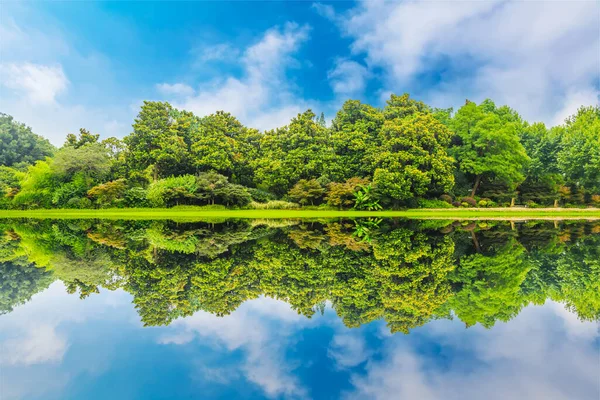 Parks Meadows Woods China — Stock Photo, Image