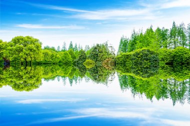 Nehrin kıyısında güzel bir orman