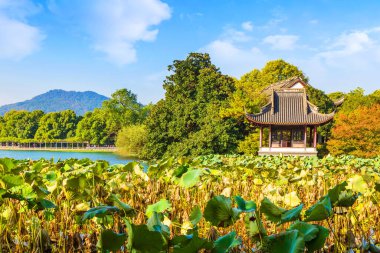 Hangzhou Batı Gölü Güzel manzara