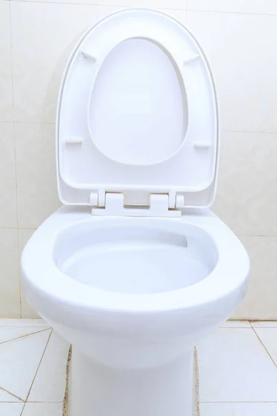 Flush Toilet China Asia Royalty Free Stock Images