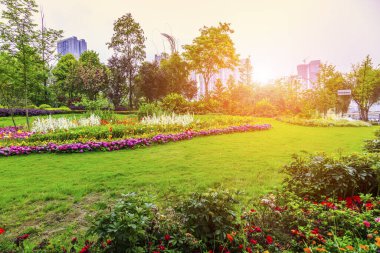Park yatağı yeşilleniyor.