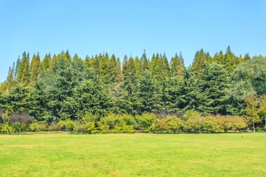 Çin 'de park yolu