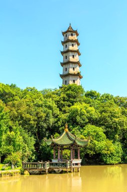 Çin klasik bahçe mimarisi peyzajı