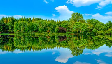 Park Yeşil Doğal Korusu