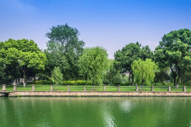 Park yeşil, orman ve çimen.