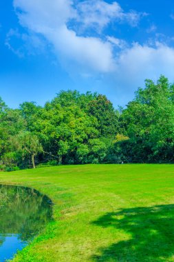Park Yeşil Doğal Korusu
