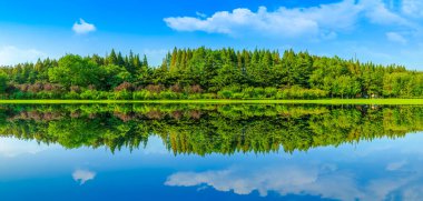 Park Yeşil Doğal Korusu