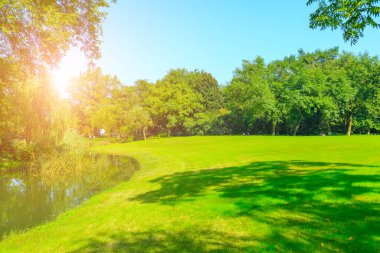 Çin 'de park ormanı