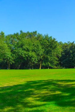 Park Yeşil Doğal Korusu