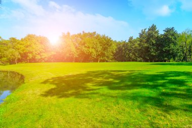 Çin 'de park ormanı