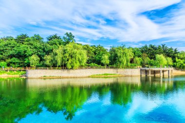 Çin 'de park gölleri