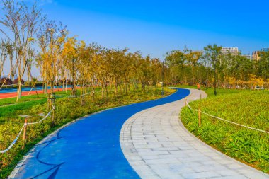 Çin 'de park fitness pisti