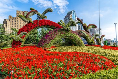 Çin, Asya 'daki çiçek tarlaları.