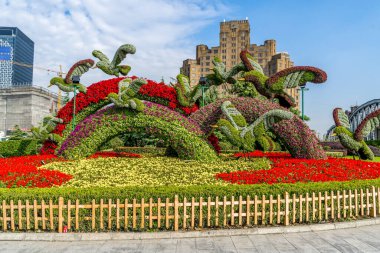 Çin, Asya 'daki çiçek tarlaları.