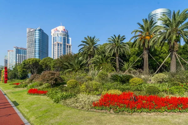 Çin, Asya 'daki çiçek tarlaları.