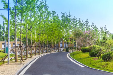 Yollar, yollar ve ufuk çizgisi